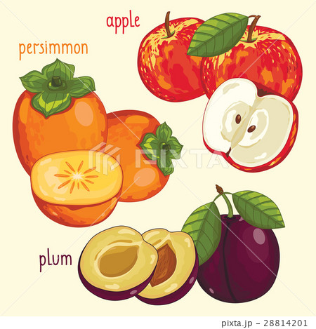 Fresh fruit mix isolated, raster illustration 28814201