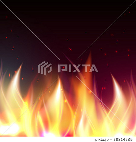 Fire flame banner 28814239
