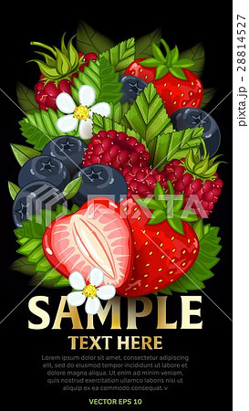 Fresh berries mix isolated, raster illustration Fresh berries mix isolated, raster illustration 28814527