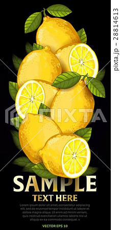 Fruit mix with leaves on black background 28814613