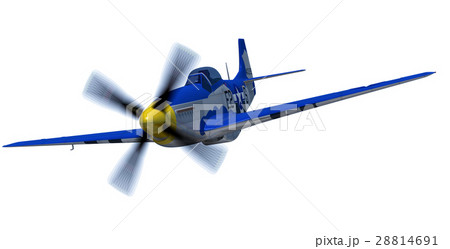 P-51 P-51 28814691