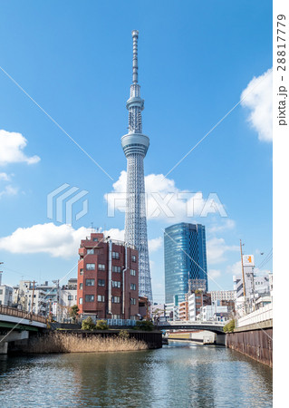 都市風景　青空と東京スカイツリー 28817779