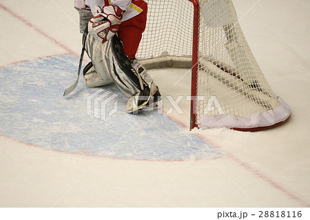 アイスホッケー アイスホッケー 28818116