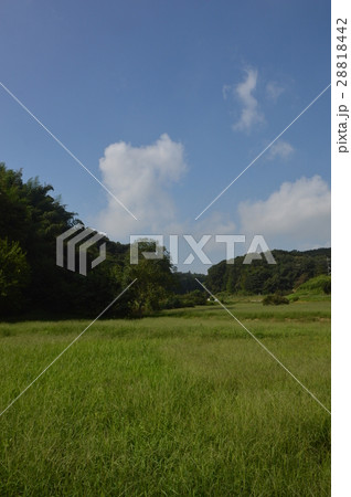 東京の里山 鶴見川源流の里の秋 町田市 東京の里山 鶴見川源流の里の秋 町田市 28818442