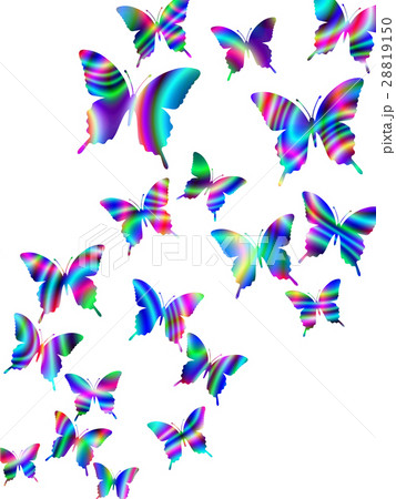 舞い上がる蝶の群 28819150