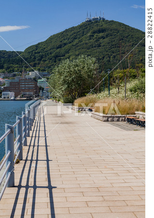緑の島から見る函館山 緑の島から見る函館山 28822415