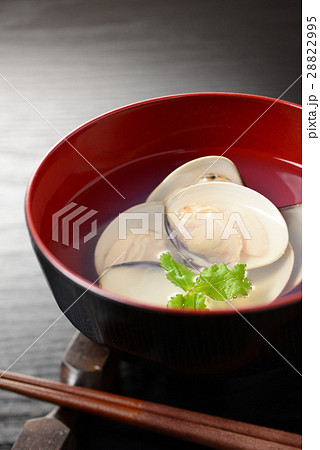 蛤のお吸い物 蛤のお吸い物 28822995