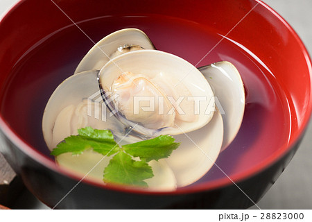 蛤のお吸い物 蛤のお吸い物 28823000