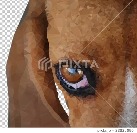 beagle dogs beagle dogs 28823096
