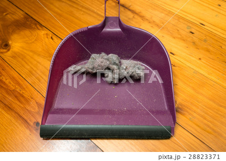 Dustpan with ball of dust 28823371