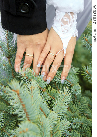 wedding theme, holding hands wedding theme, holding hands 28823996