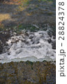 清流 28824378