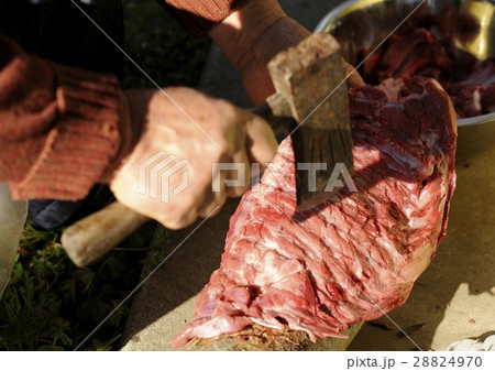 猪のアバラ肉を切断する作業 猪のアバラ肉を切断する作業 28824970
