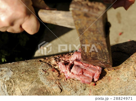 猪のアバラ肉を切断する作業 猪のアバラ肉を切断する作業 28824971