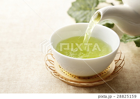 緑茶 28825159