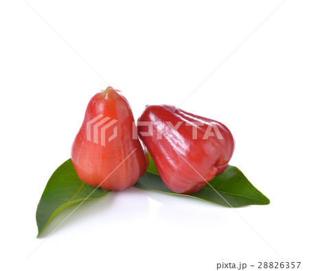 Rose apples or chomphu  on white background. 28826357