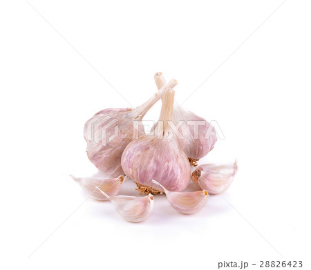 Fresh garlic  on white background 28826423