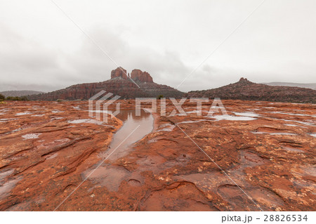 Winter storm at Cathedral Rocks 28826534