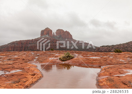 Winter storm at Cathedral Rocks 28826535