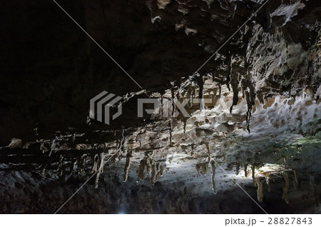 秋吉台・秋芳洞 大鍾乳洞 秋吉台・秋芳洞 大鍾乳洞 28827843
