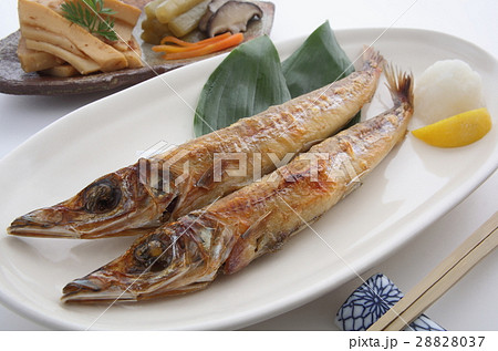 焼き魚 キス ニギスの干物 焼き魚 キス ニギスの干物 28828037