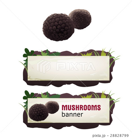 Set of mushroom vector banner, badge, sticker 28828799