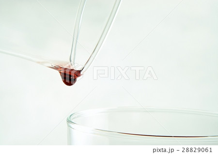 drop of wine 28829061