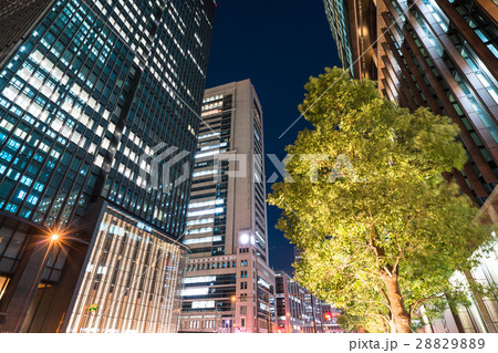 東京・丸の内オフィス街の夜景 東京・丸の内オフィス街の夜景 28829889