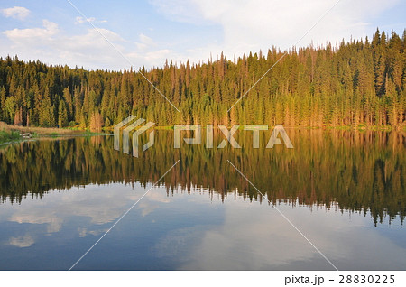 Autumn forest lake reflection 28830225