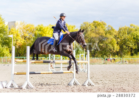 Sportswoman jumping over obstacles on competition Sportswoman jumping over obstacles on competition 28830372