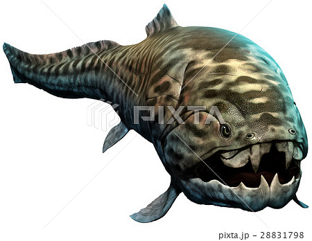 Dunkleosteus Dunkleosteus 28831798
