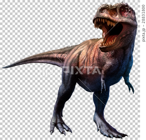 Tyrannosaurus  28831800