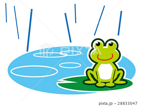 梅雨　カエル 28833047