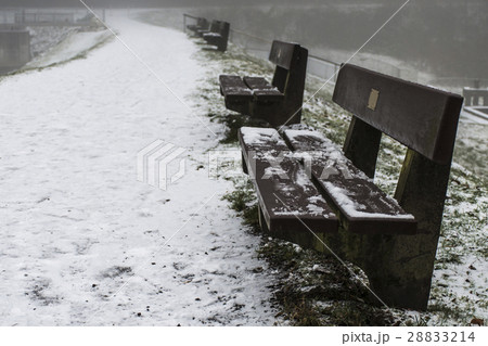 Bench empty seat in wood trees winter and fog 7 28833214