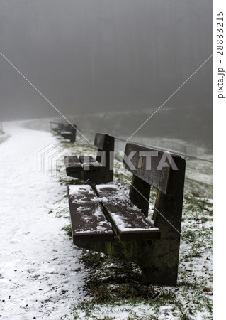 Bench empty seat in wood trees winter and fog 8 28833215