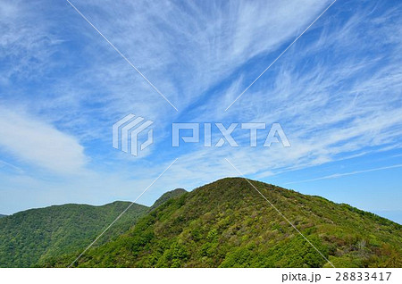 新緑の天城山 28833417