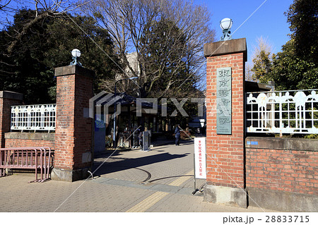 東京芸術大学 東京芸術大学 28833715