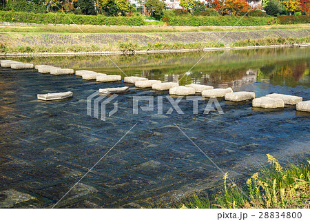 京都　鴨川の飛び石 28834800