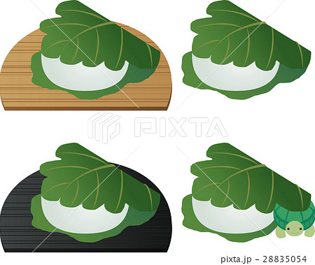 かしわ餅とカメのイラスト素材