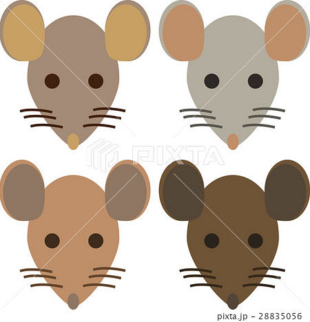 ネズミのイラスト素材