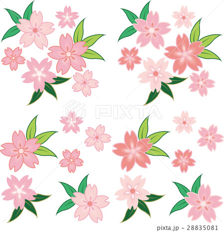 桜 28835081