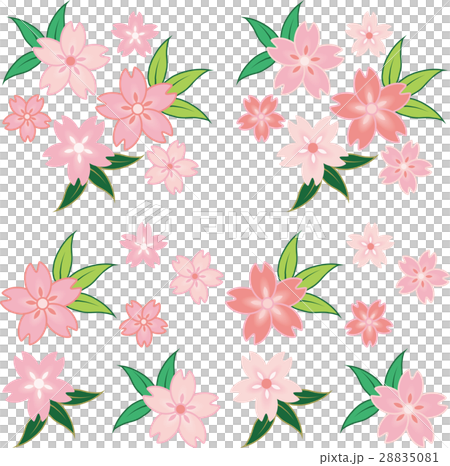 桜 28835081