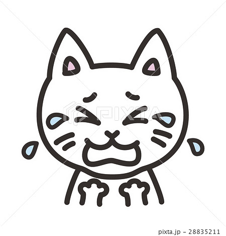 猫のキャラクター 表情 泣くのイラスト素材 28835211 Pixta