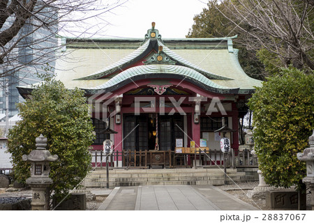 東京都市風景・亀岡八幡宮 28837067