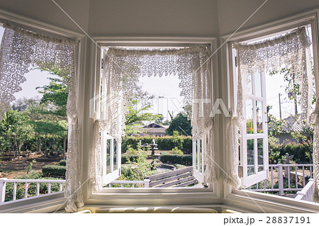 window with a garden in the back. 28837191