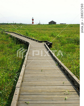 石狩 ハマナスの丘公園の遊歩道 石狩 ハマナスの丘公園の遊歩道 28837260