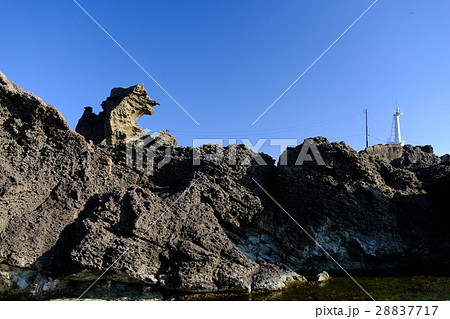 夕暮れ迫る引き潮の塩瀬崎 28837717