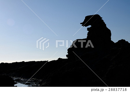 夕暮れ迫る引き潮の塩瀬崎 夕暮れ迫る引き潮の塩瀬崎 28837718