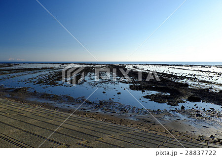 夕暮れ迫る引き潮の塩瀬崎 28837722