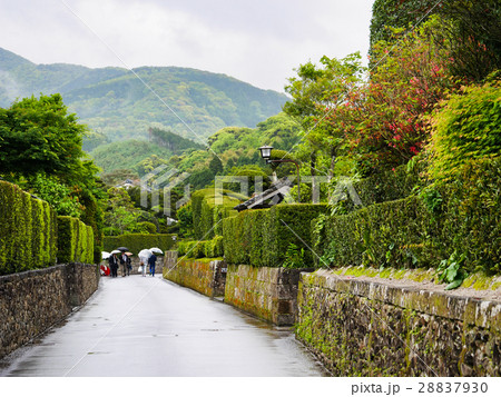 鹿児島県 南九州市 知覧町 武家屋敷 28837930
